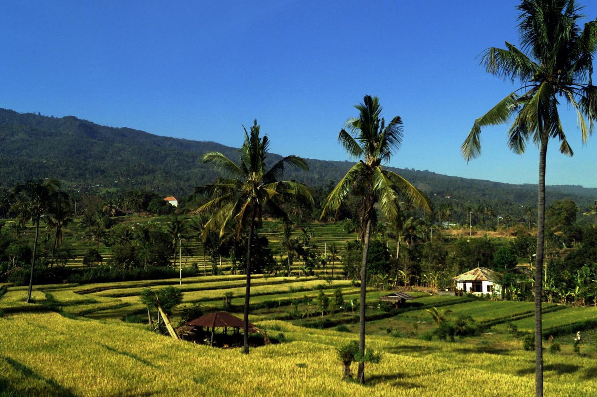 Hotel Lafyu Bali Singaraja Exterior foto