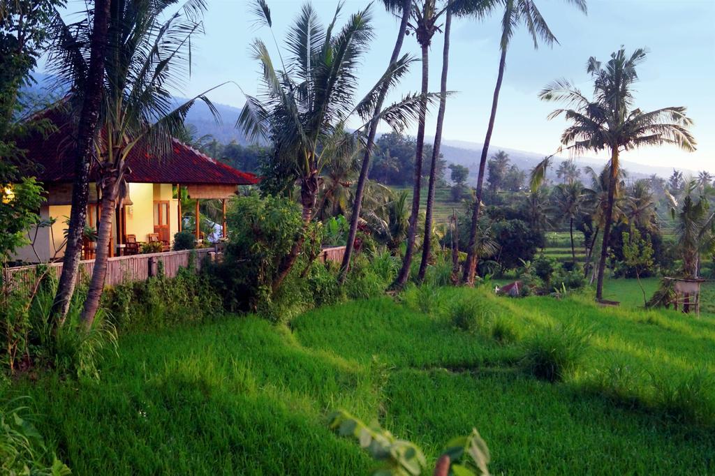 Hotel Lafyu Bali Singaraja Exterior foto