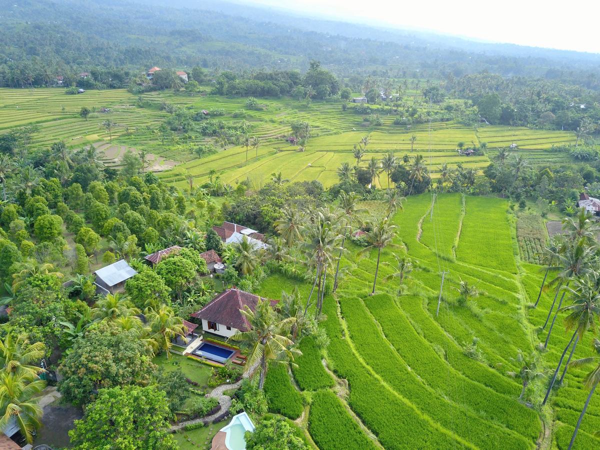 Hotel Lafyu Bali Singaraja Exterior foto