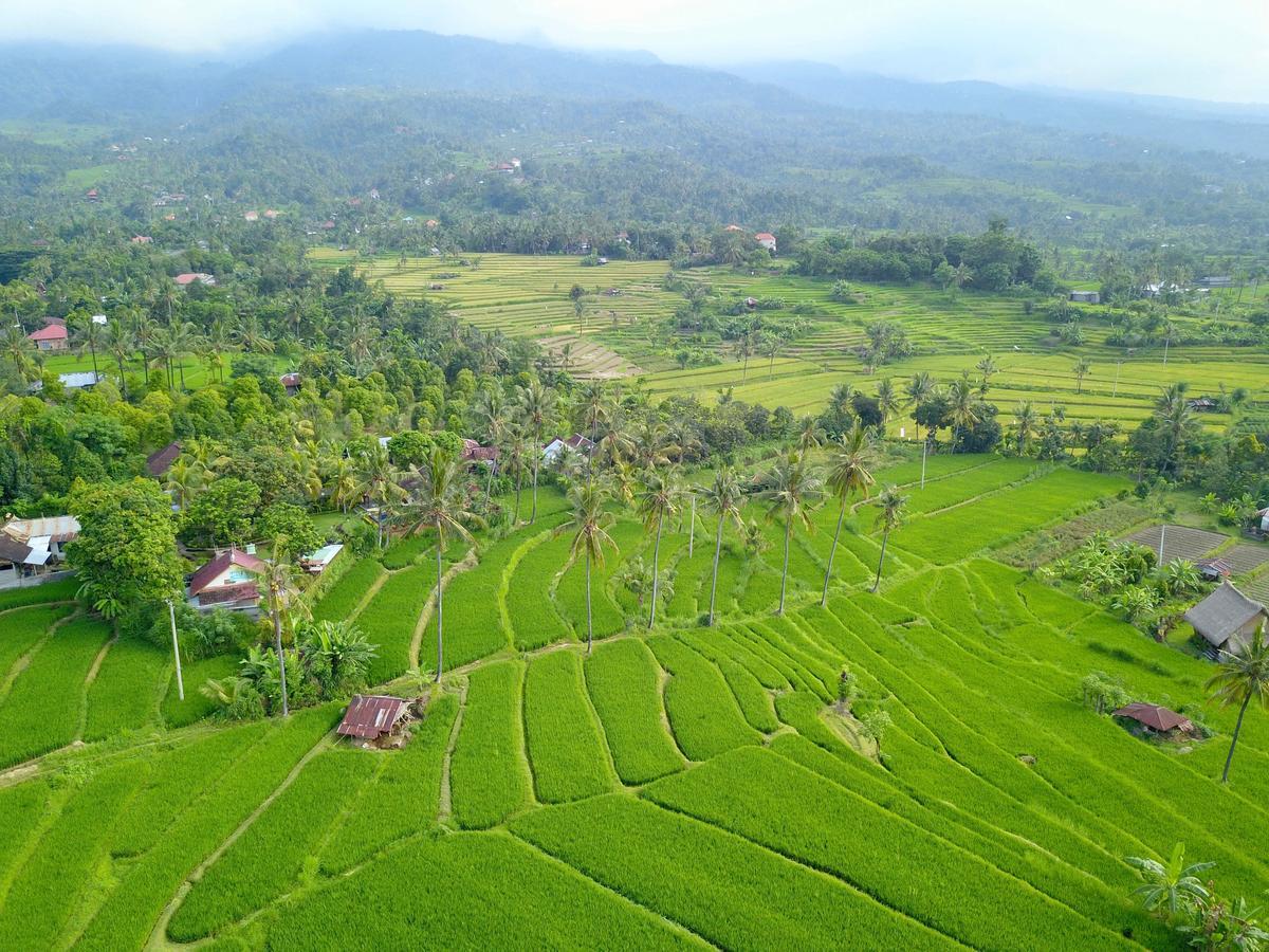 Hotel Lafyu Bali Singaraja Exterior foto