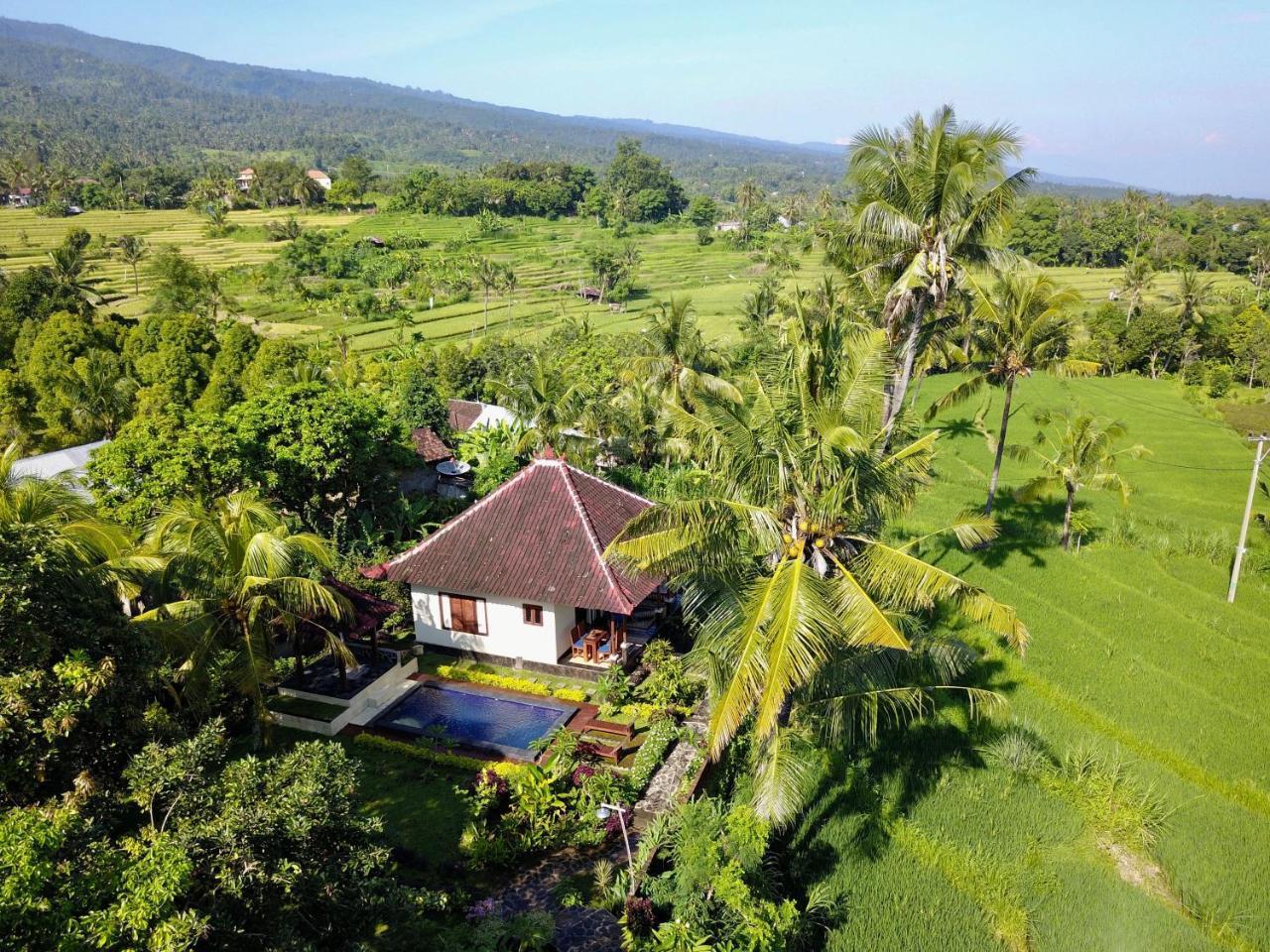 Hotel Lafyu Bali Singaraja Exterior foto